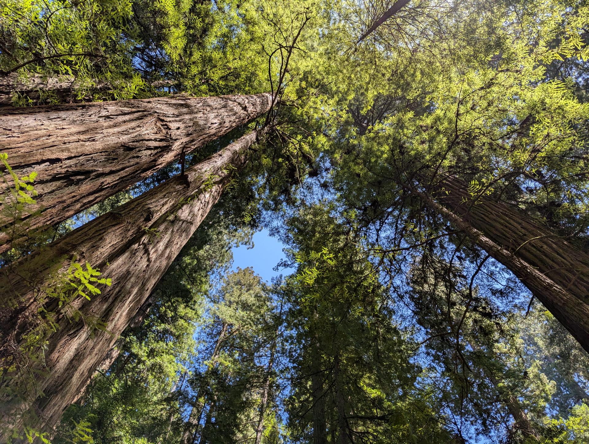 PXL_20250603_211523016sm