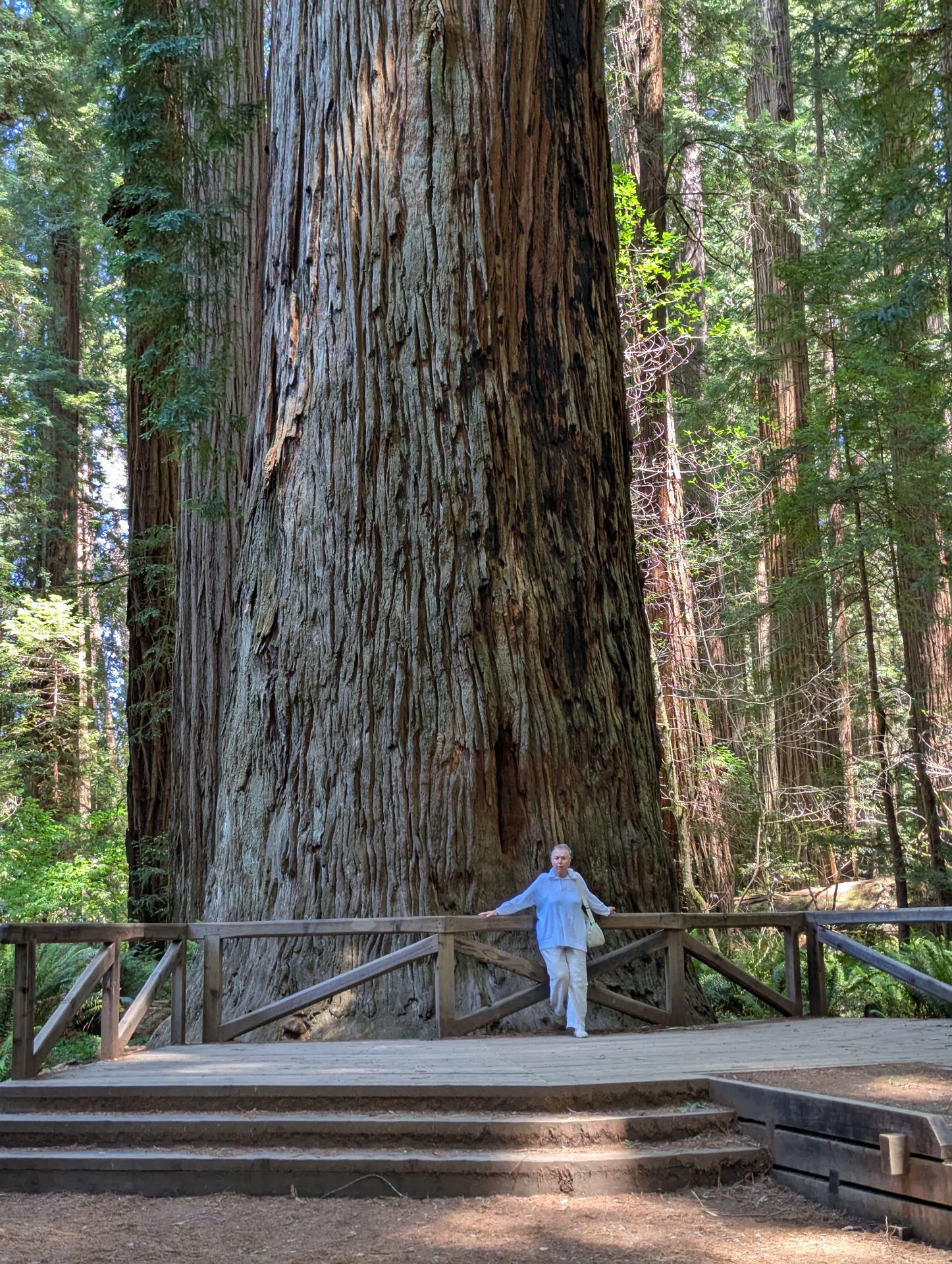 PXL_20250603_213615178sm