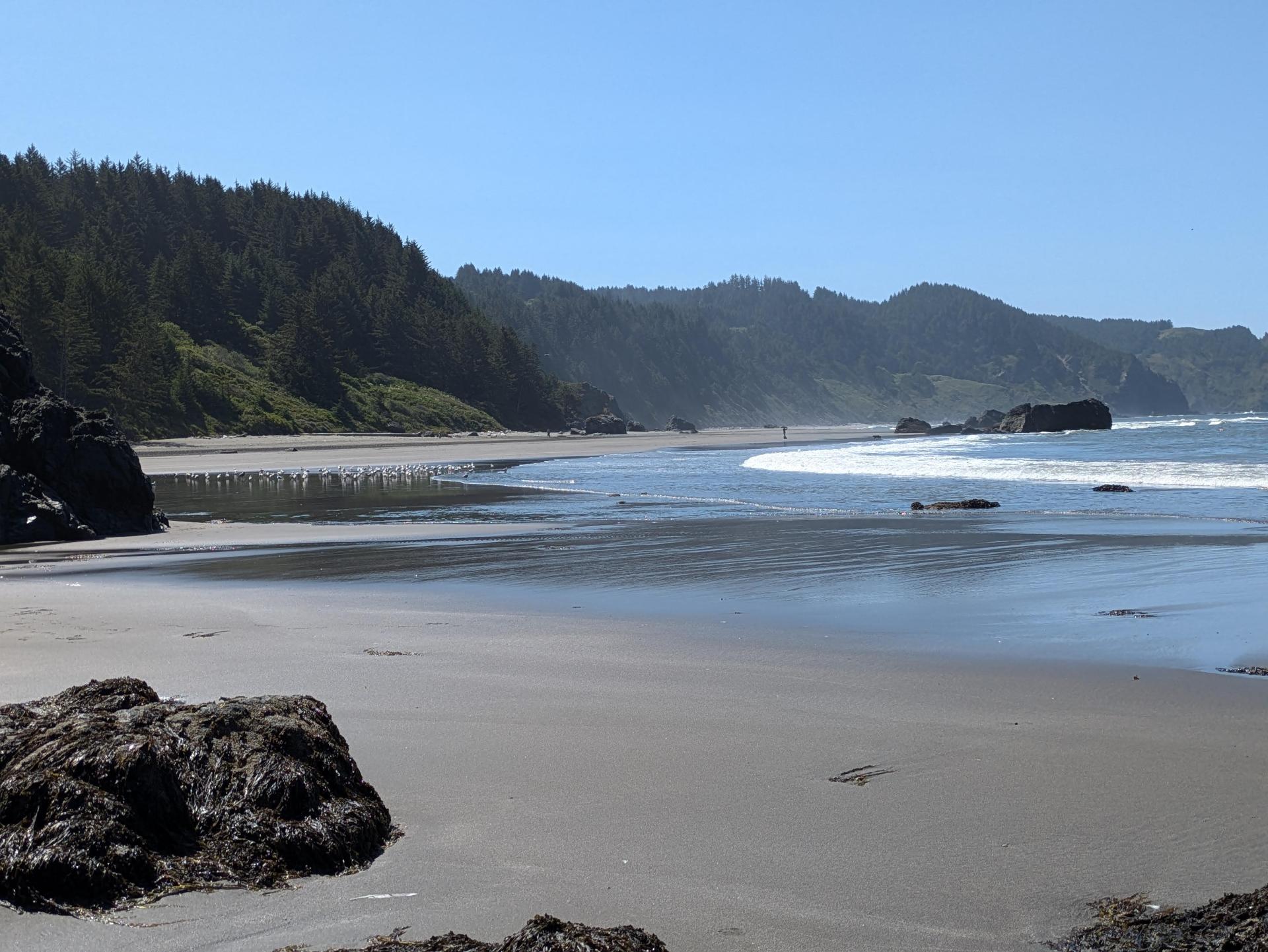 PXL_20250604_174919152sm