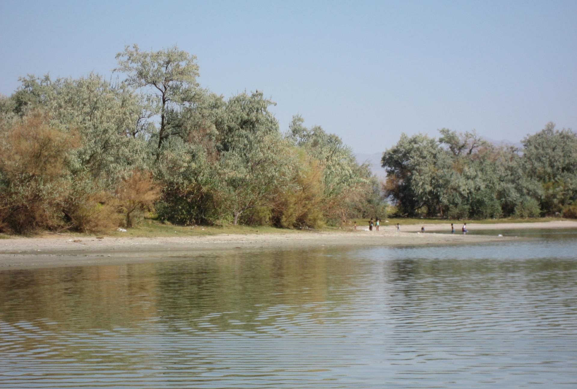 Im20080913cdIMG_2875