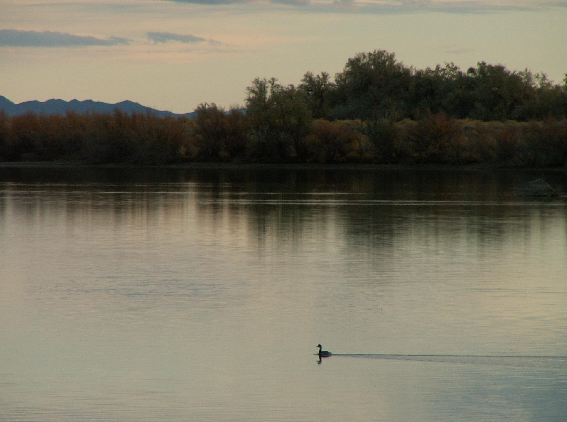 Im20081102cmPICT1674