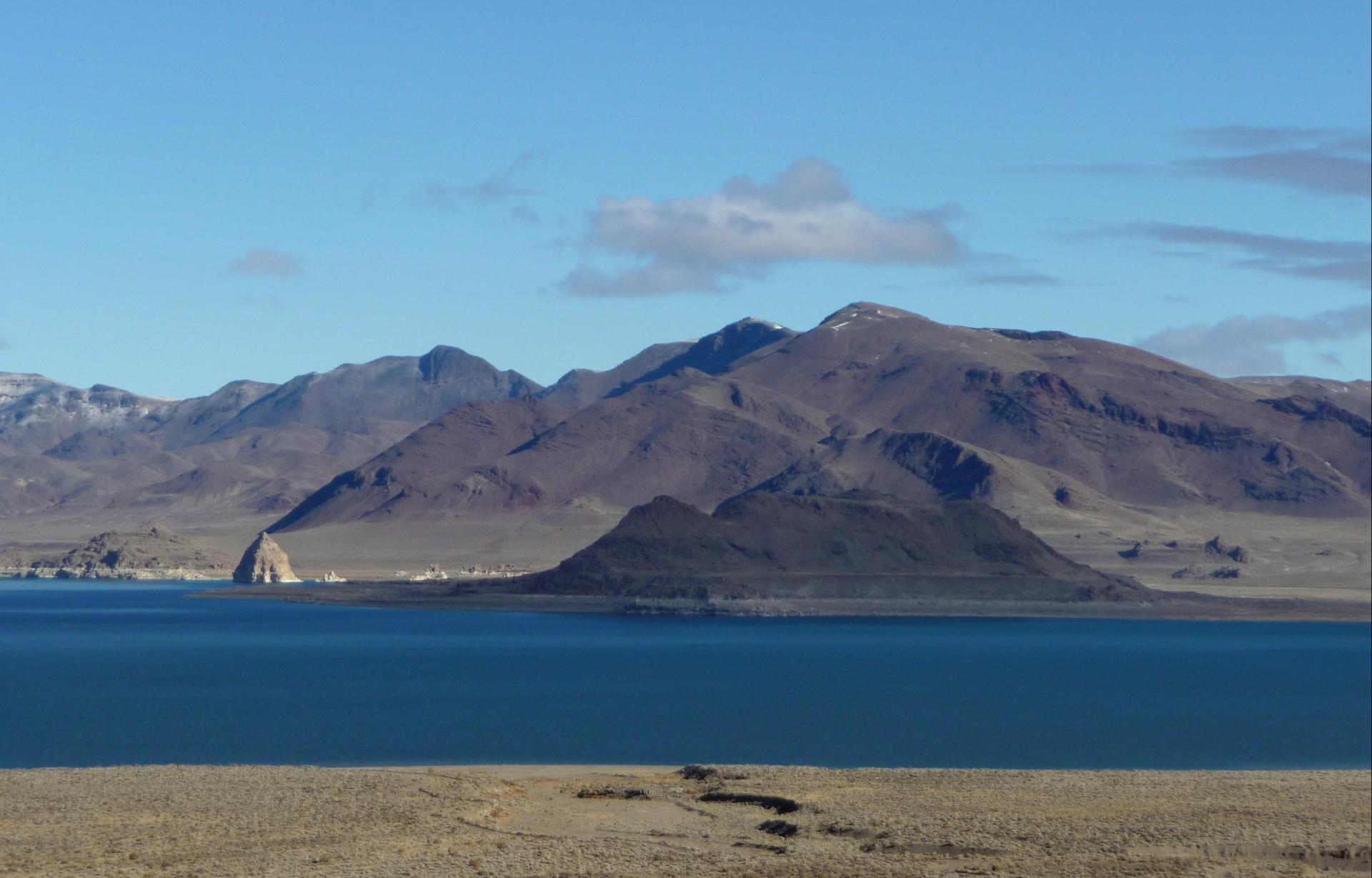 Im20090103cjpP1010777