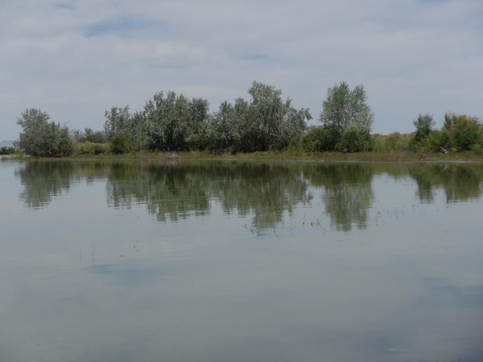 Im20160708pdjP1140666