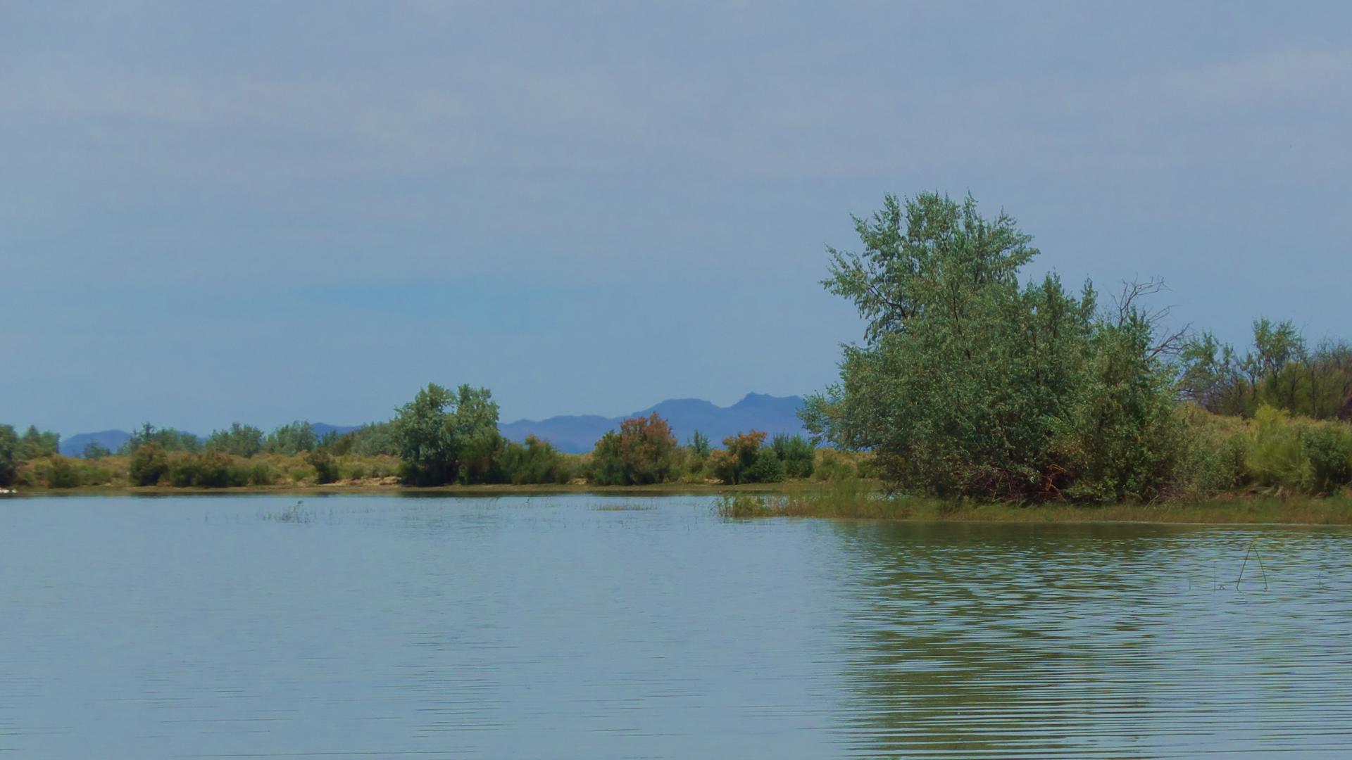 Im20160708pdjP1140683rw2