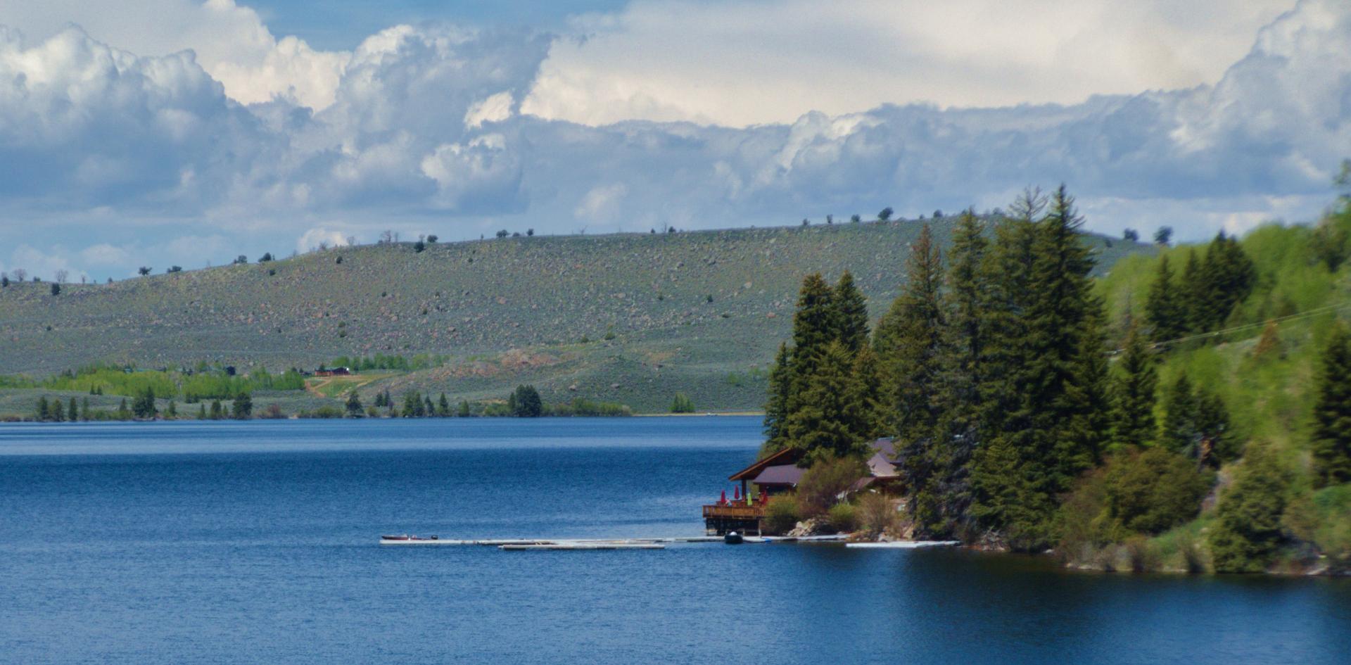 Im20190609rawP1220663rw