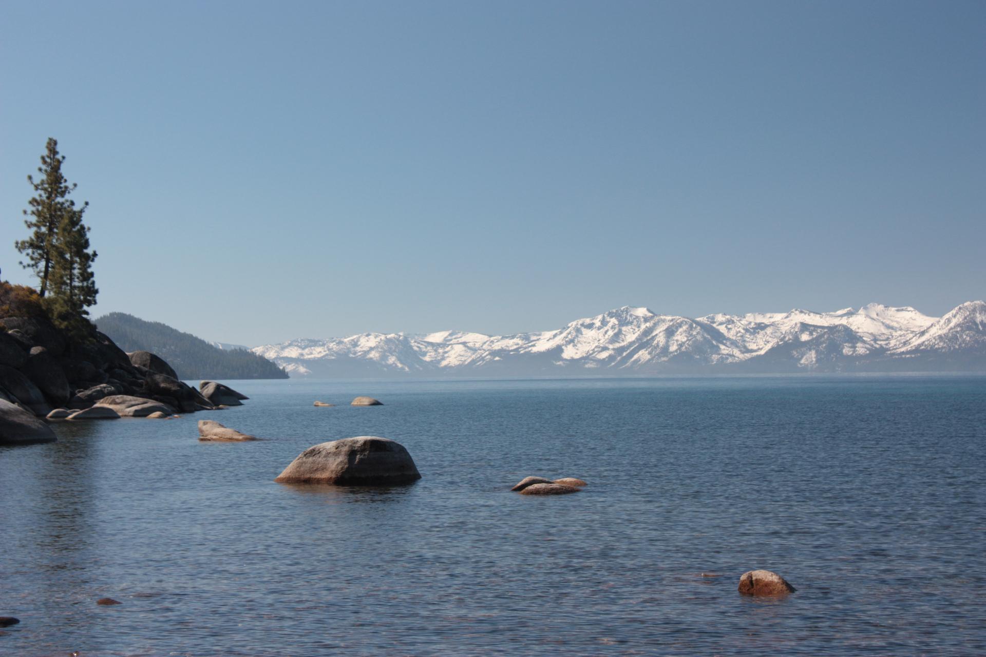 Im20200313cdpjIMG7028