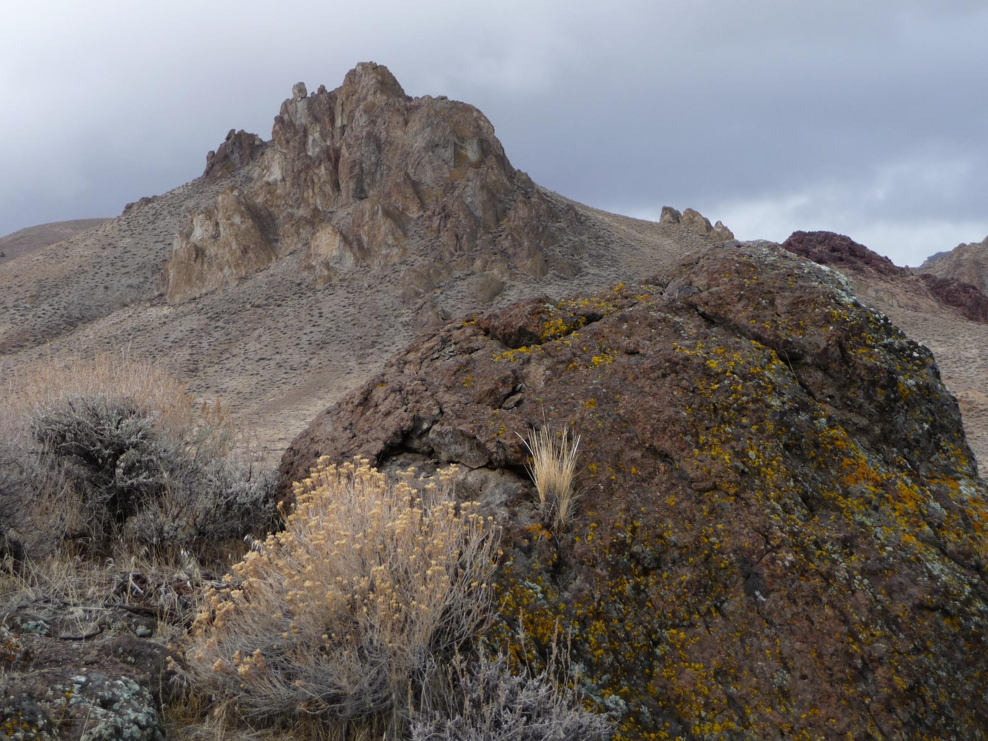 Im20090124cjpP1020048b