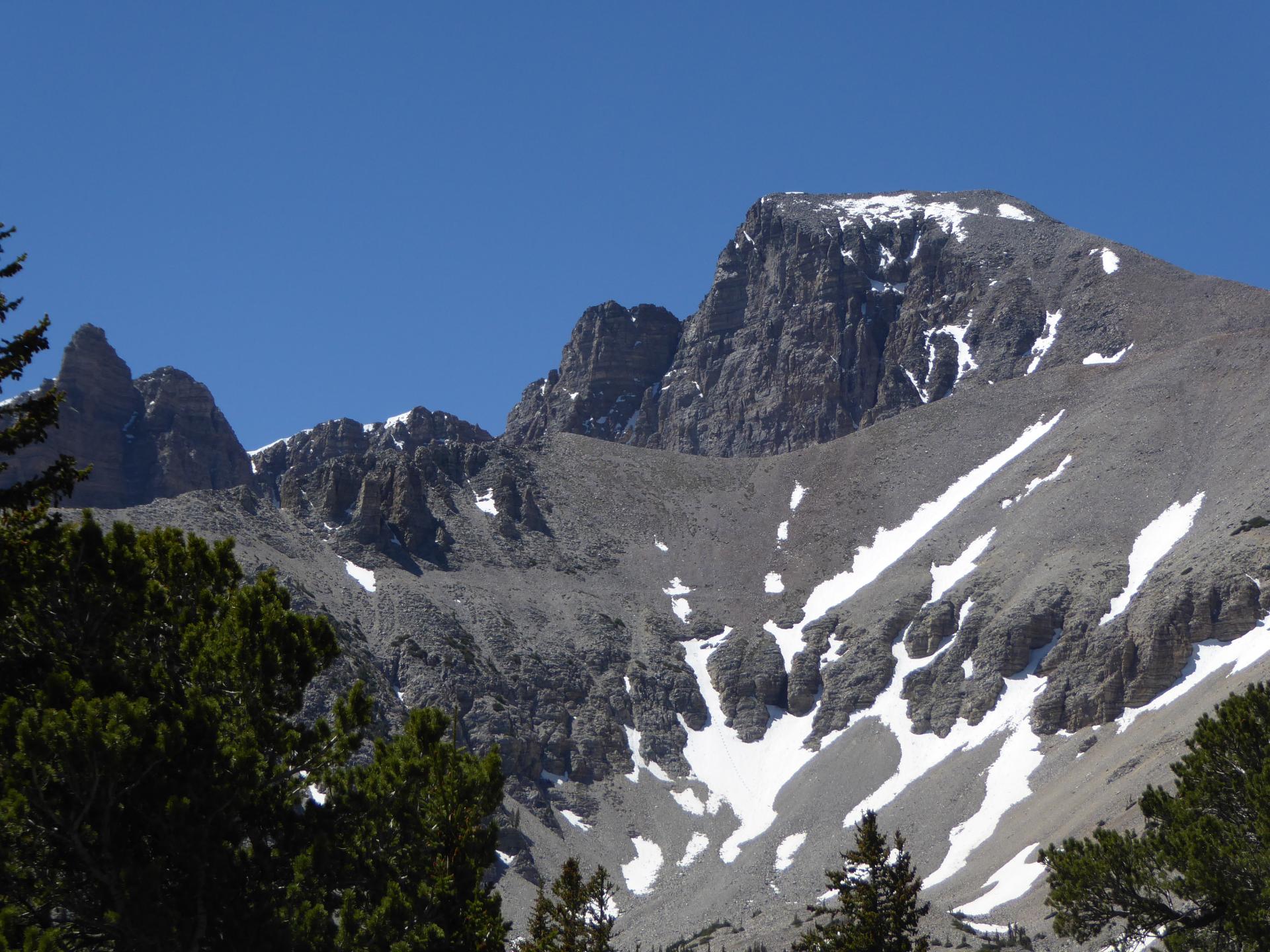 Im20180623pjP1030271