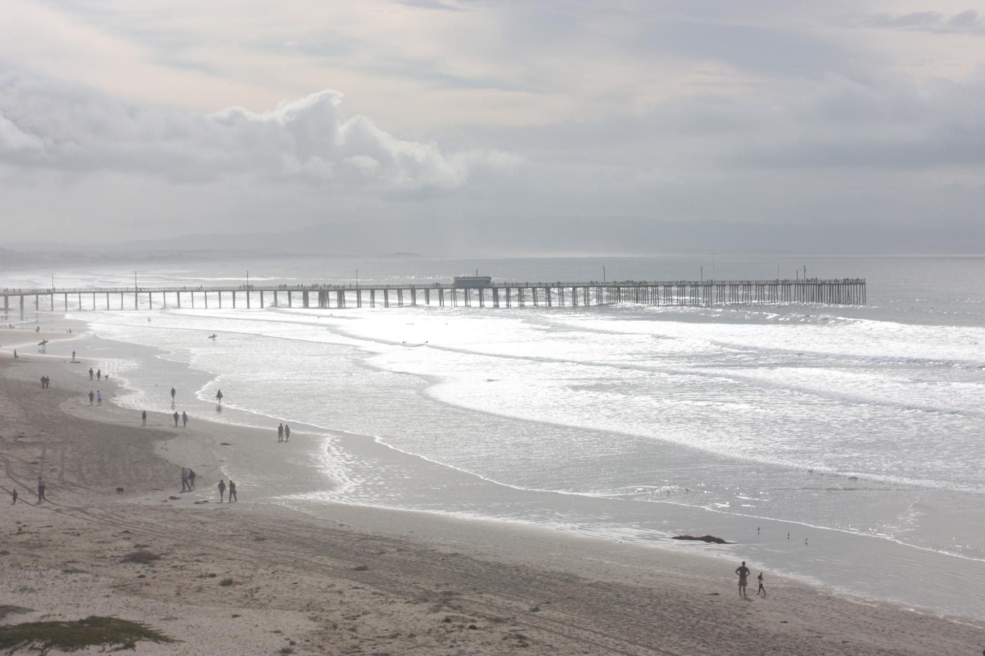 Im20100116cr1IMG1632