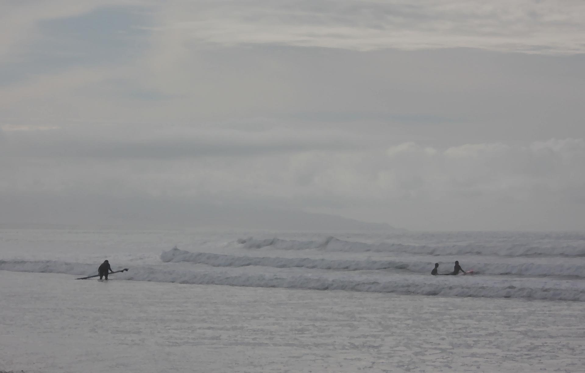 Im20100116cr1IMG_1496