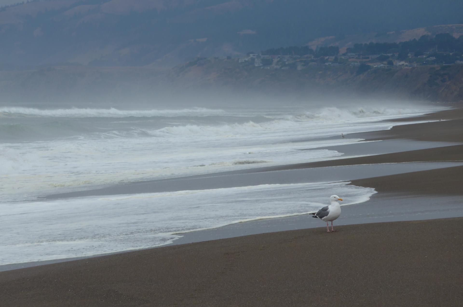 Im20170908pdP1180195