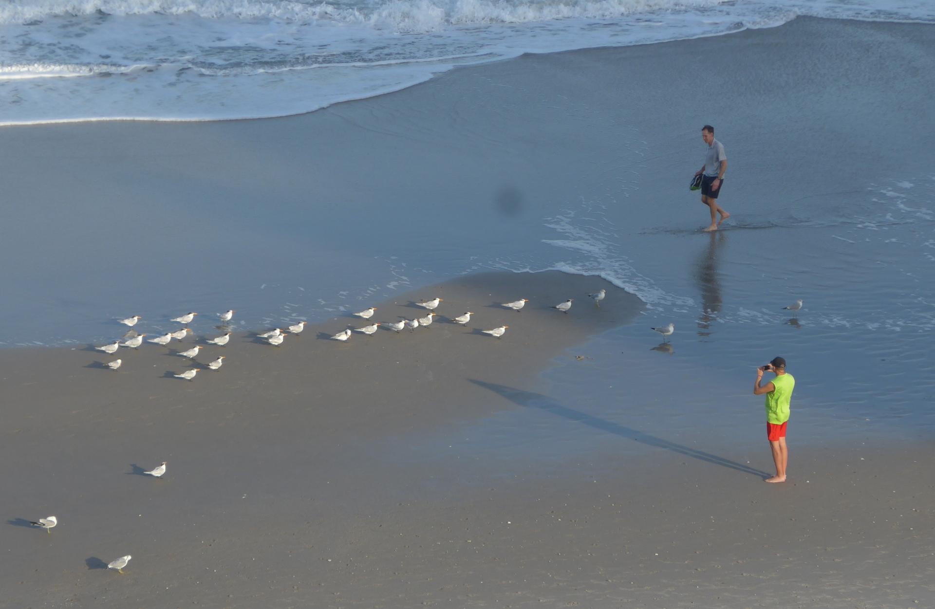 Im20200216pdP1240800