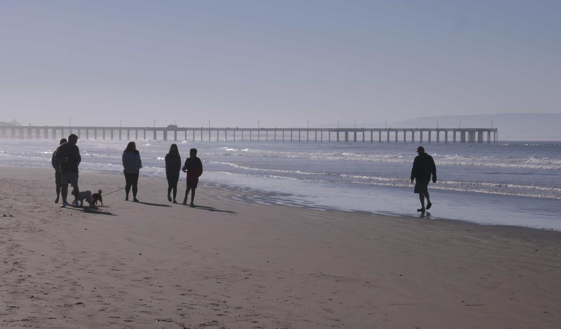 Im20220123oriP1040711