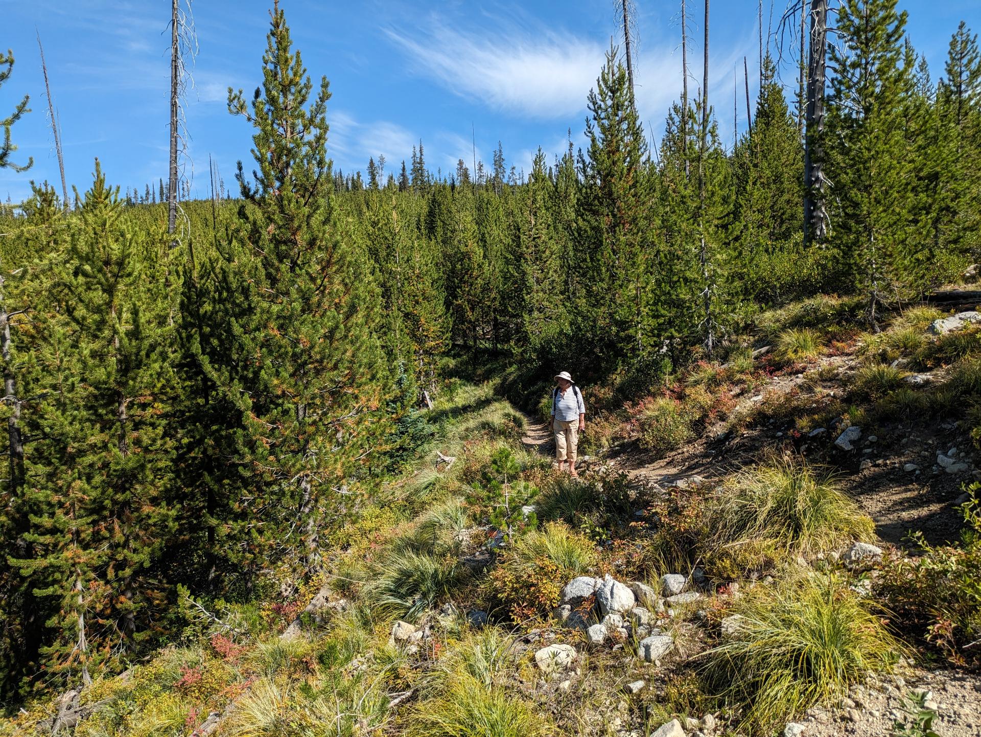 D20230912F181802056sm