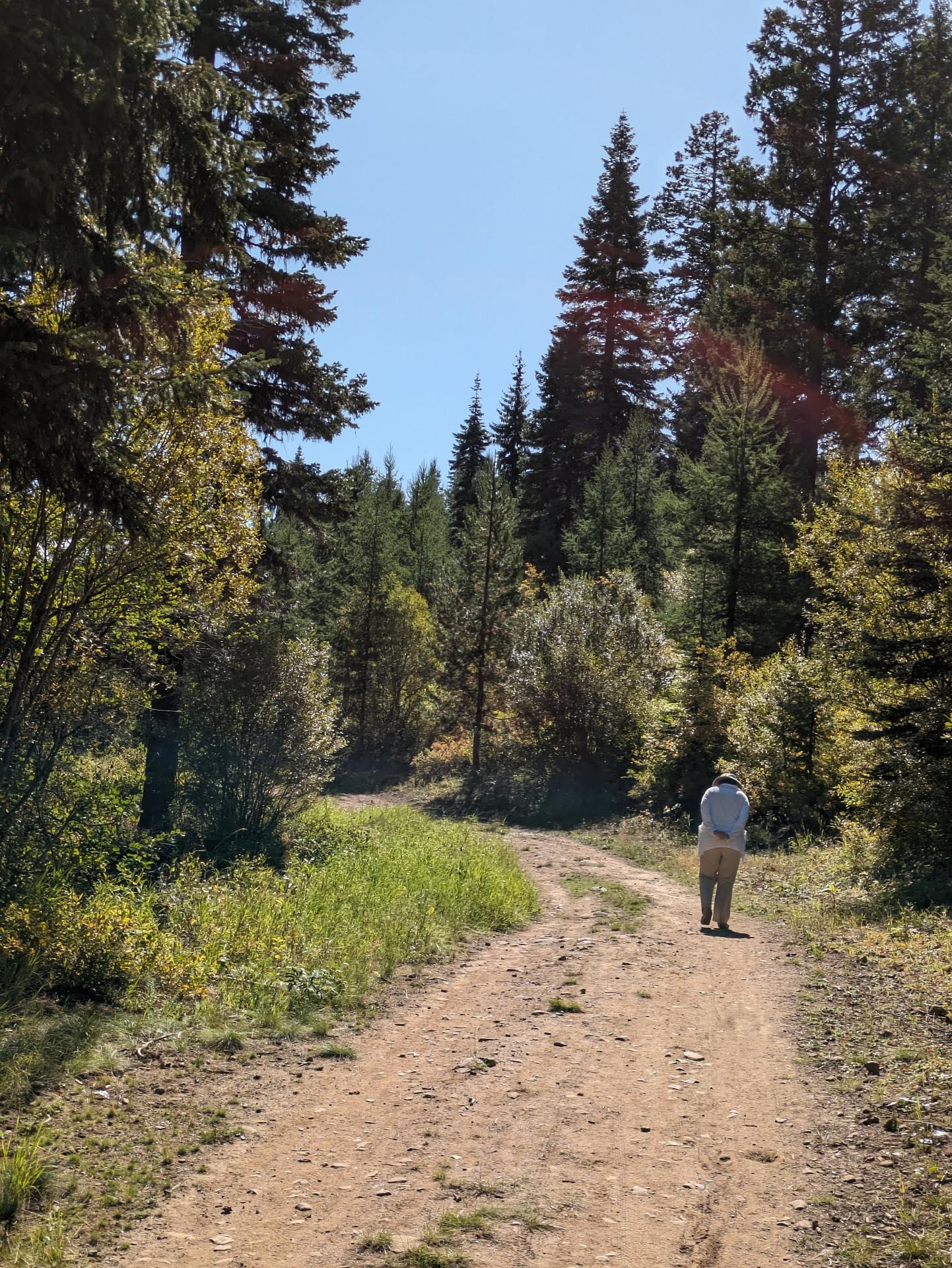 D20230913F174452332sm