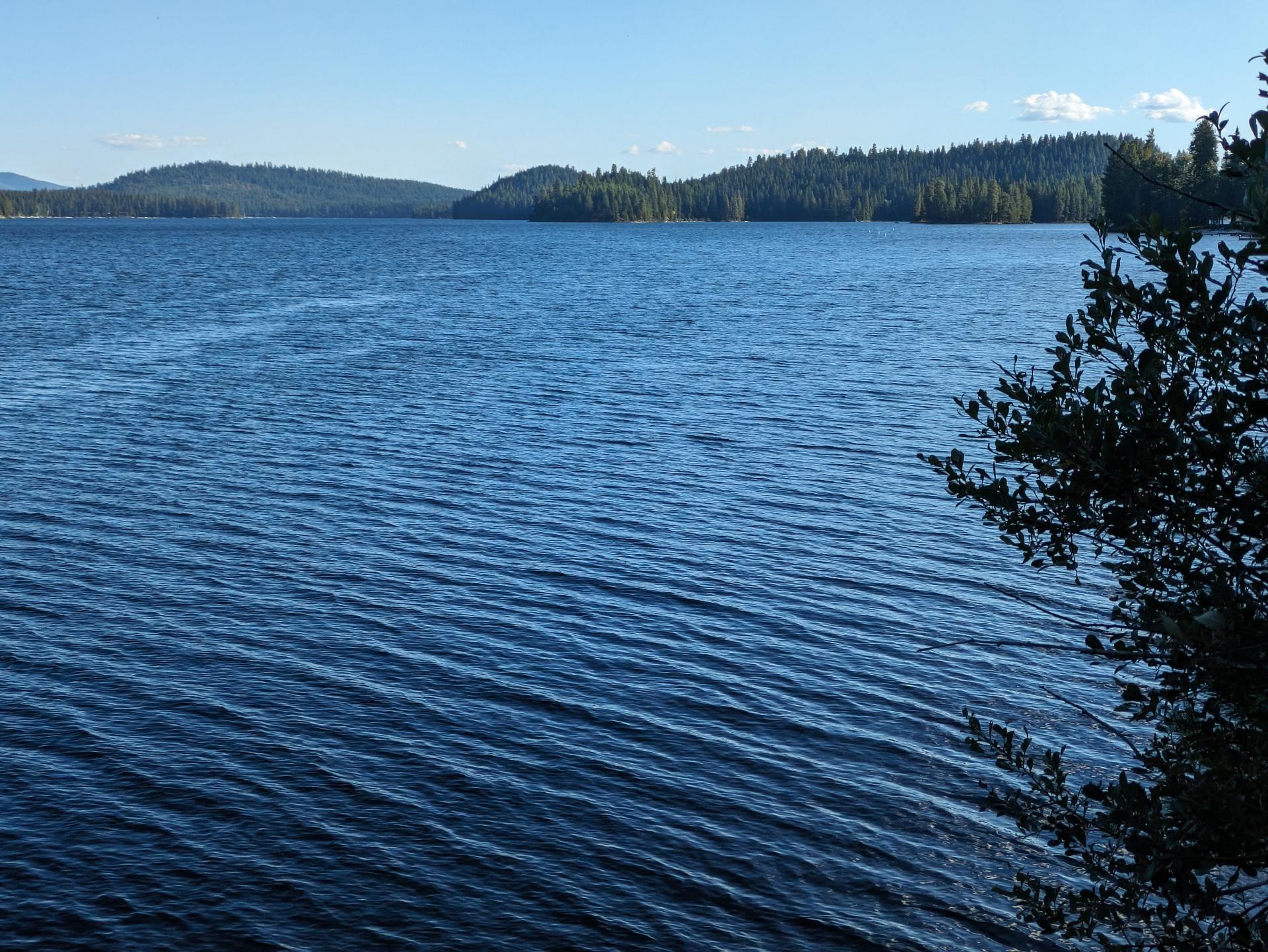 D20230913F234527270sm