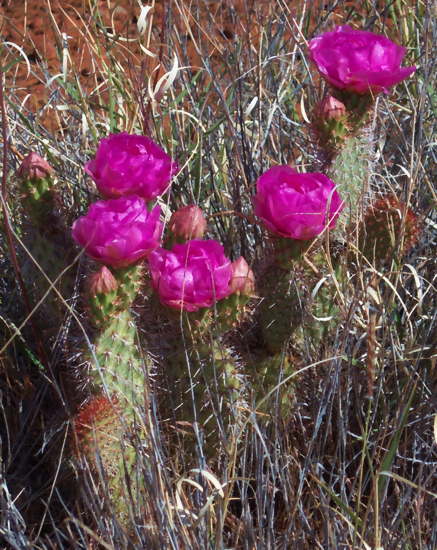 D20180504F1190802Osm