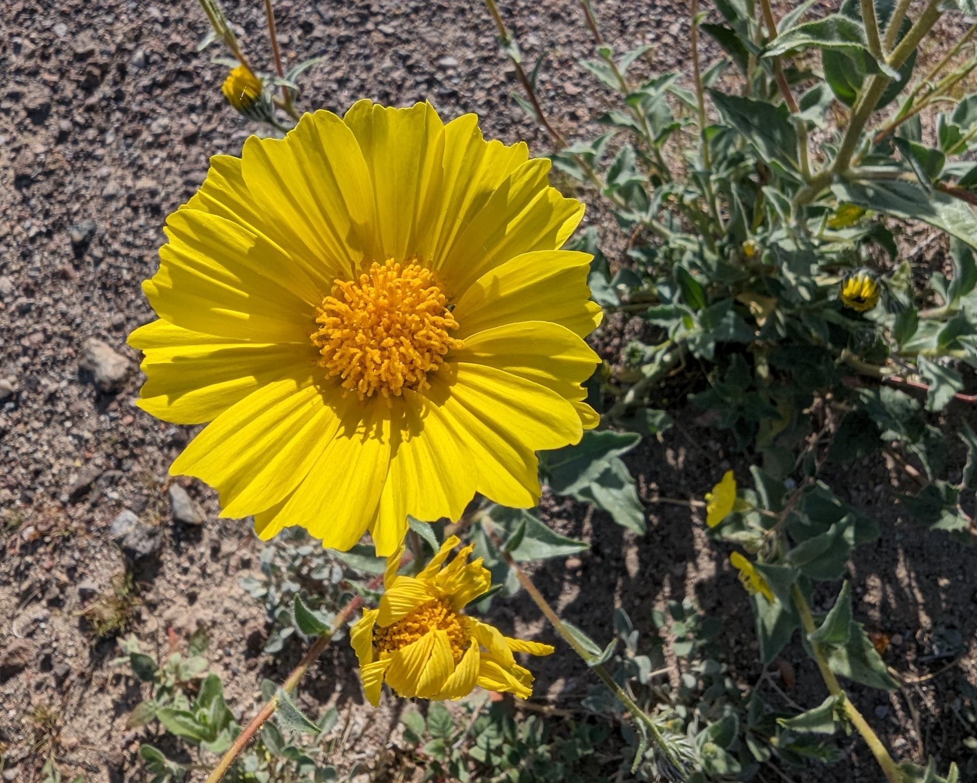 D20240412F152350737sm