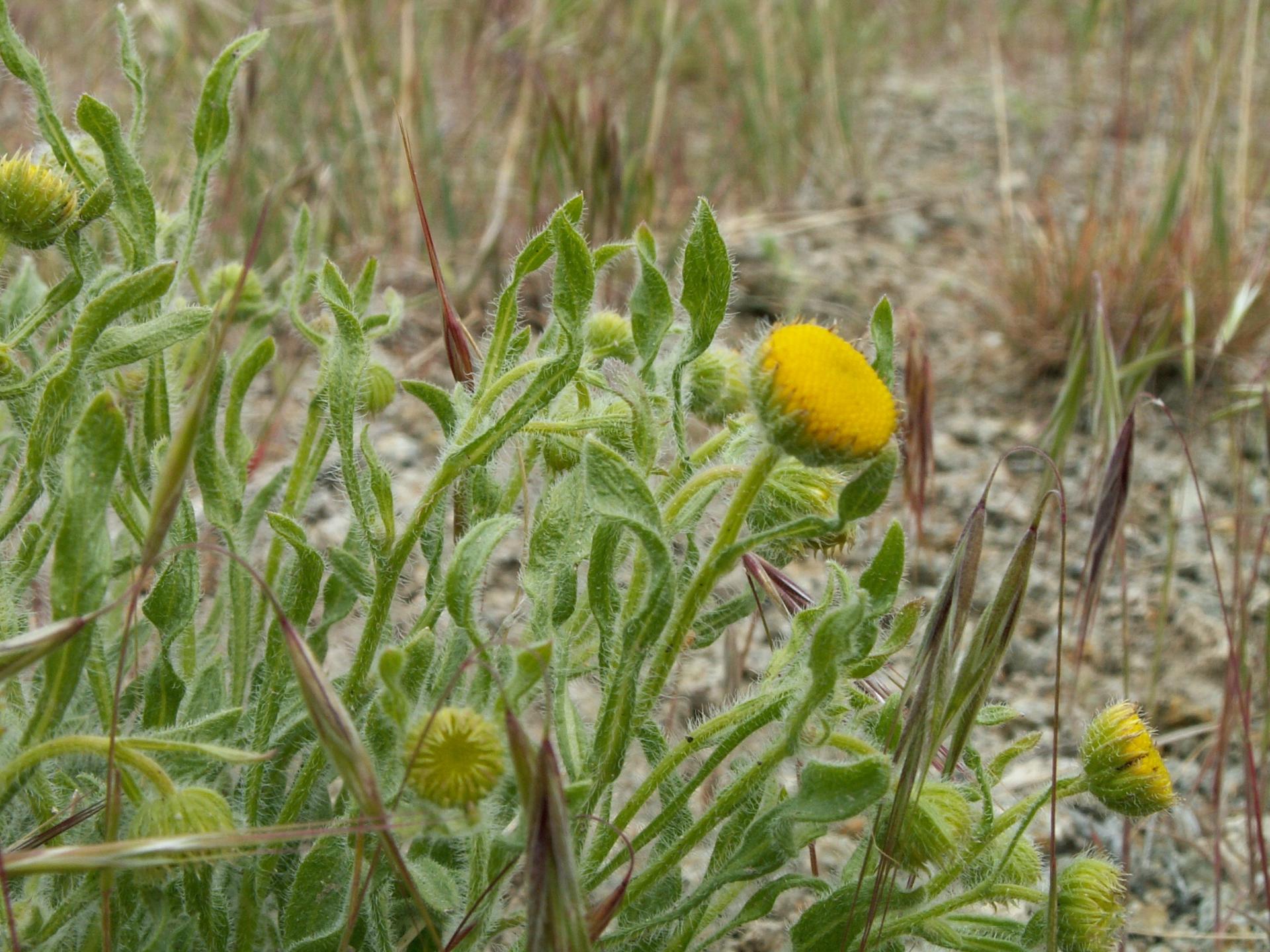 Im20060521mPICT3828sm