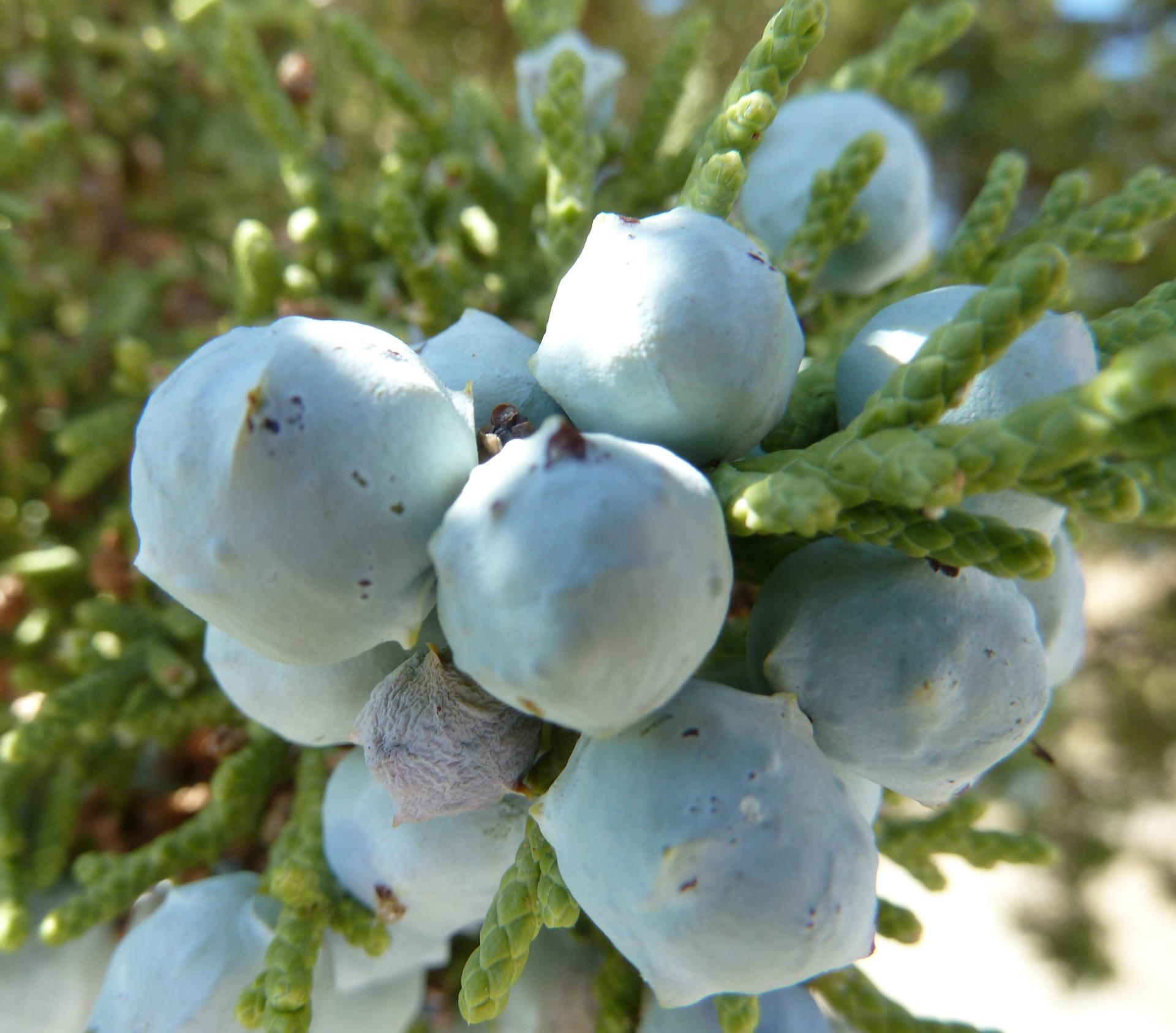 Im20110918pP1030584sm