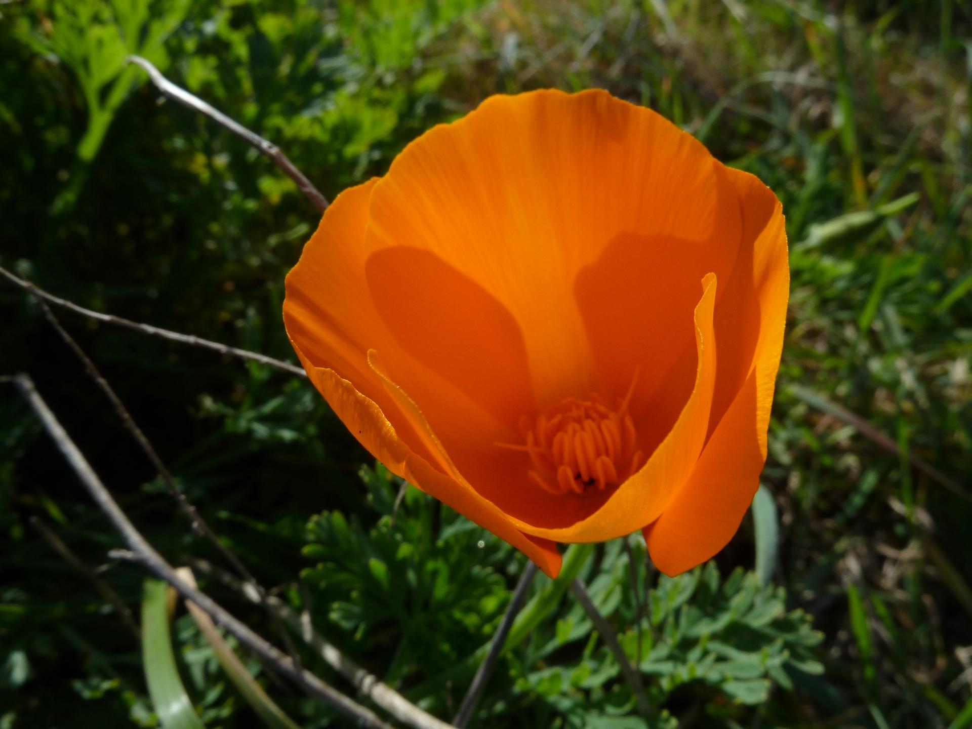 Im20120108pP1050253sm