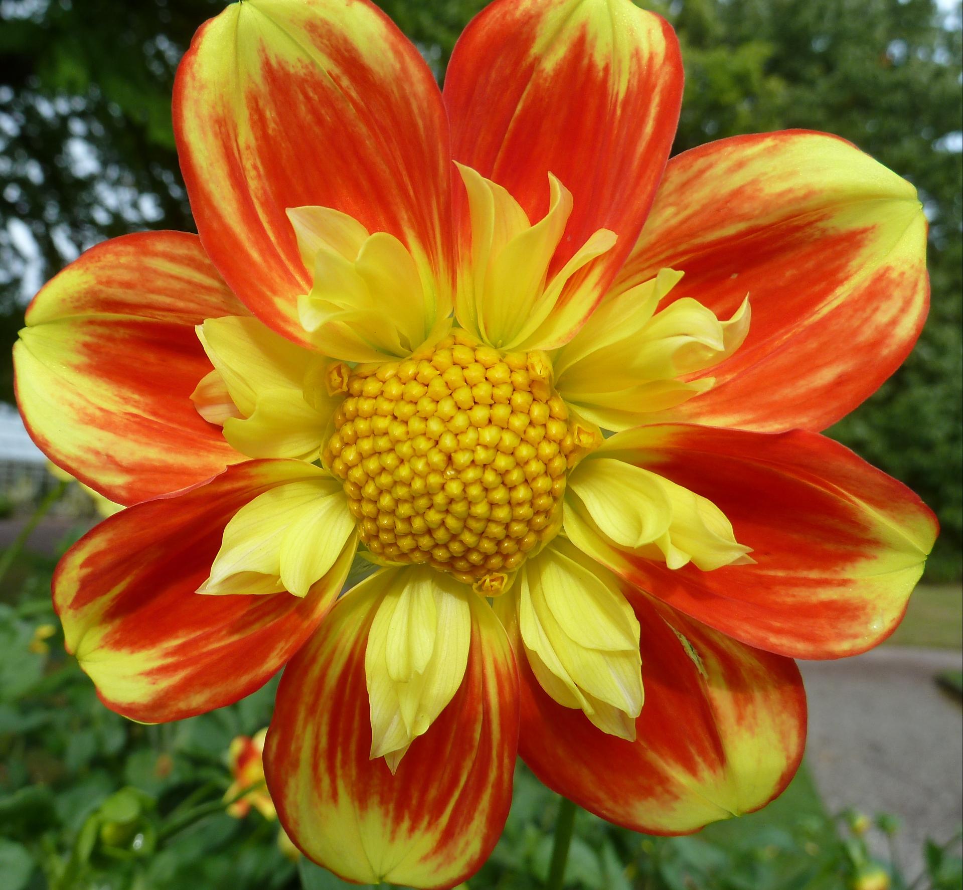 Im20120923pP1080714sm