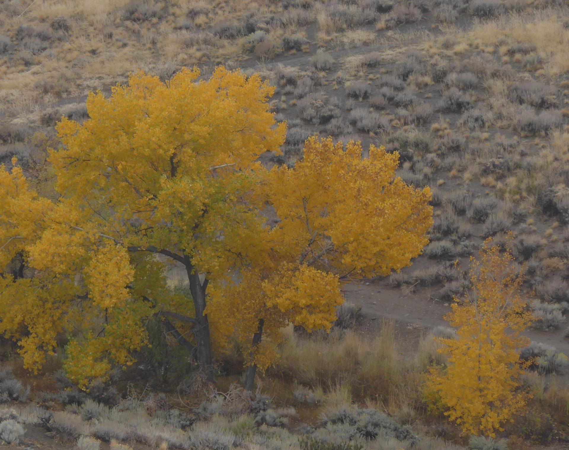 Im20161105pdP1150552sm