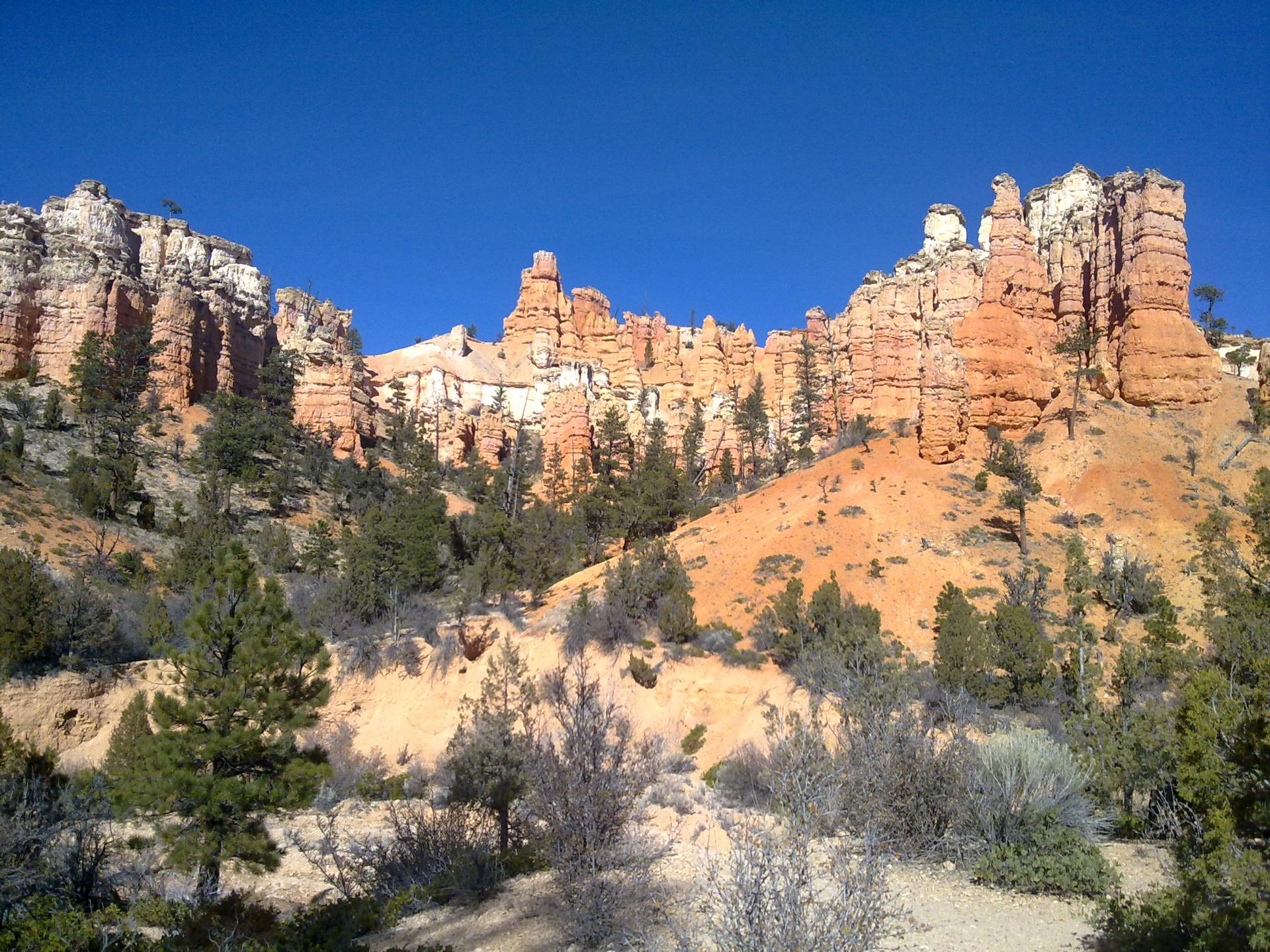 Im20121103petra031120121501