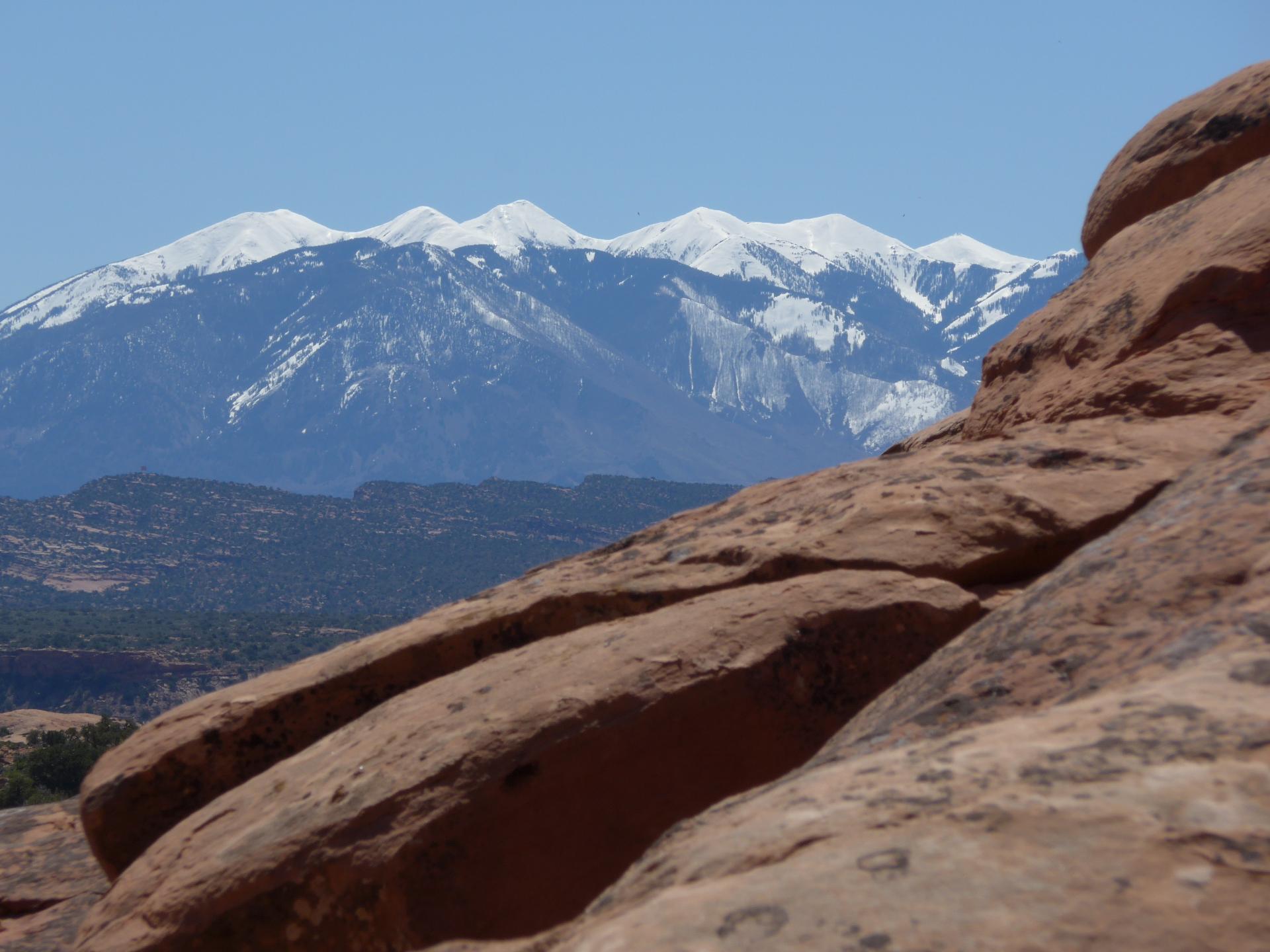 Im20160504pdP1130848