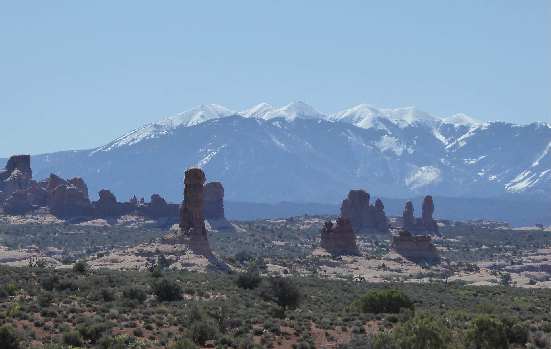 Im20160504pjP1010468