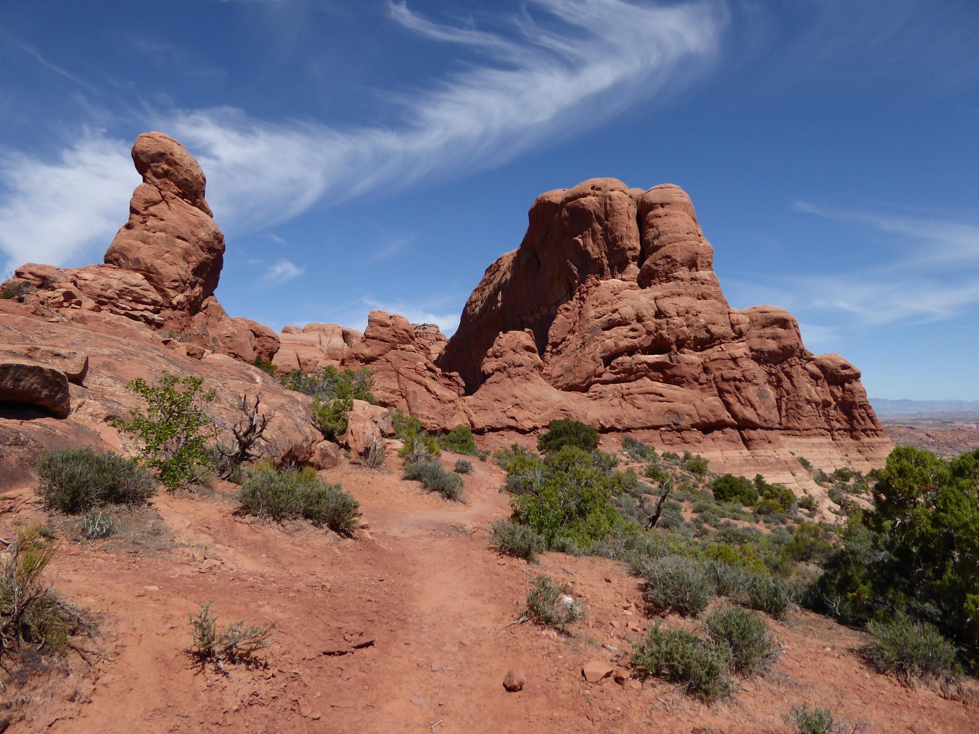 Im20160504pjP1010525