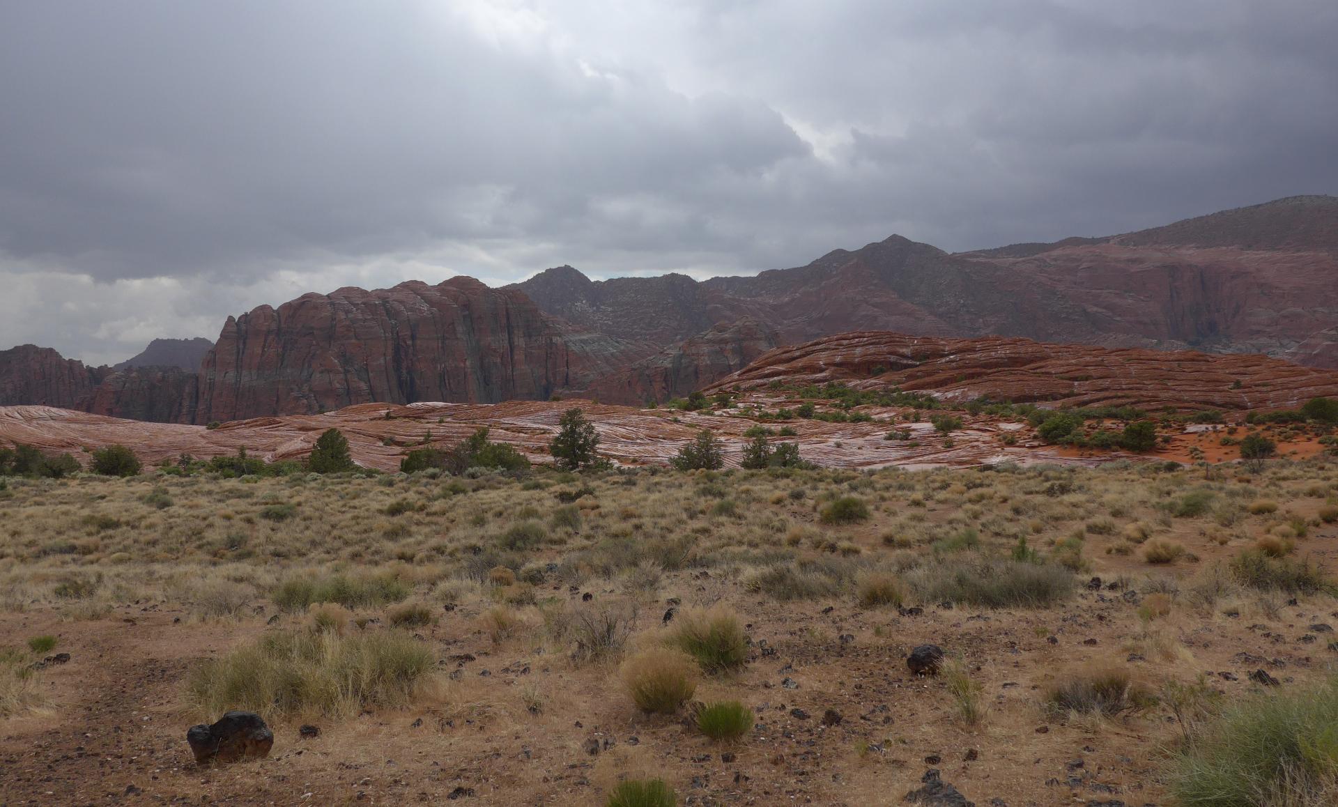 Im20180504pdP1190756