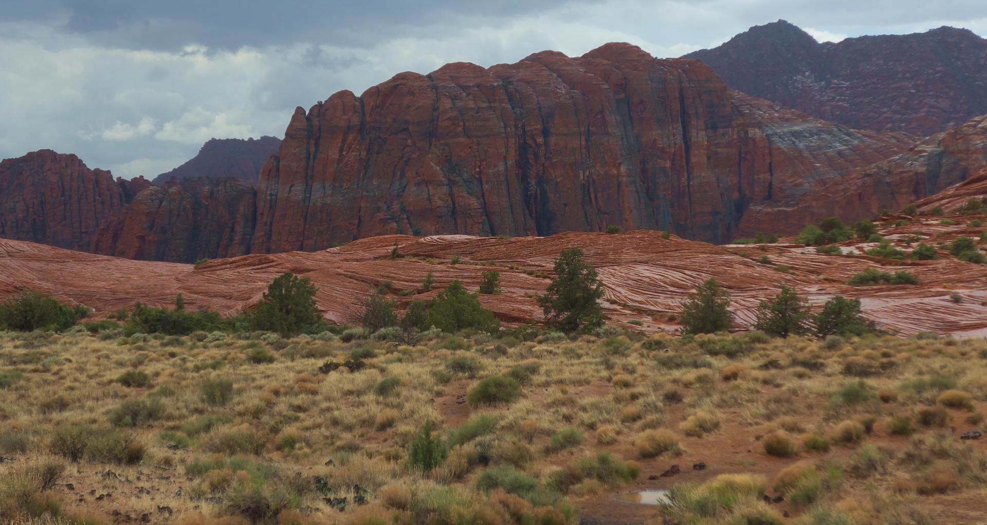 Im20180504rw2P1190752rw2