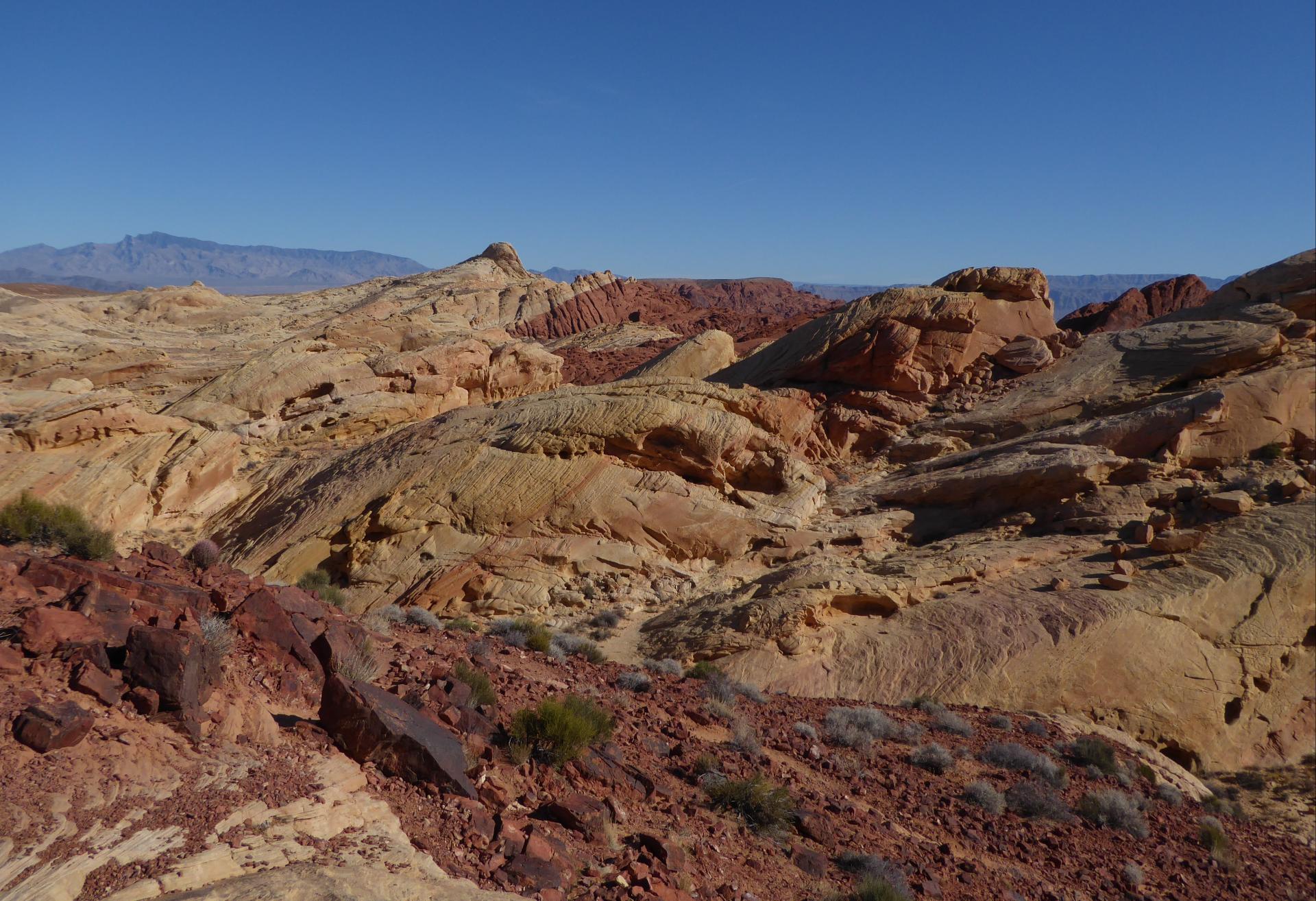 Im20181227pjP1030508