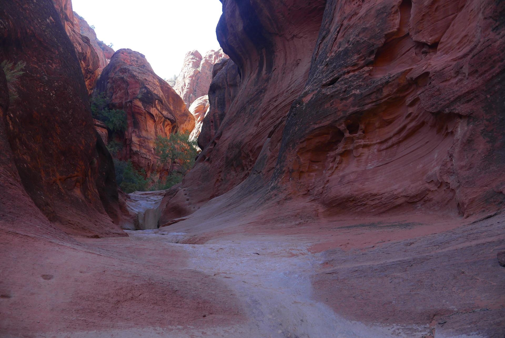 Im20221018oriP1010331