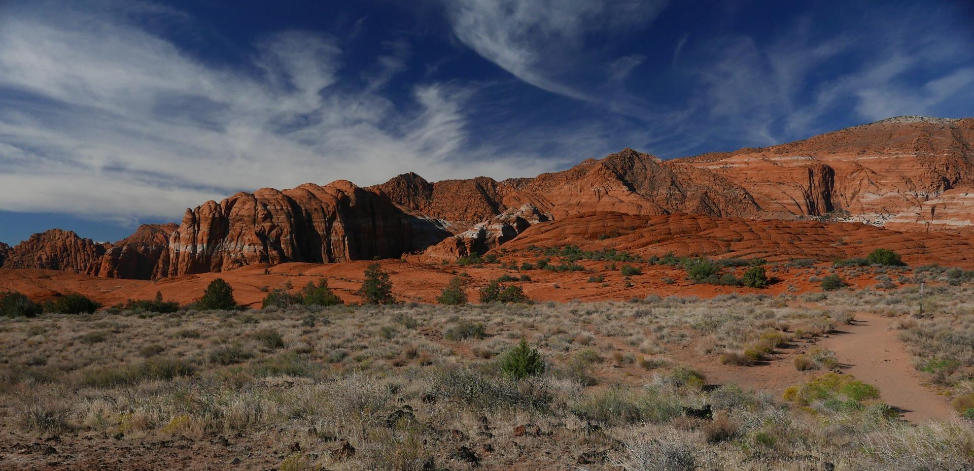 Im20221020oriP1010513