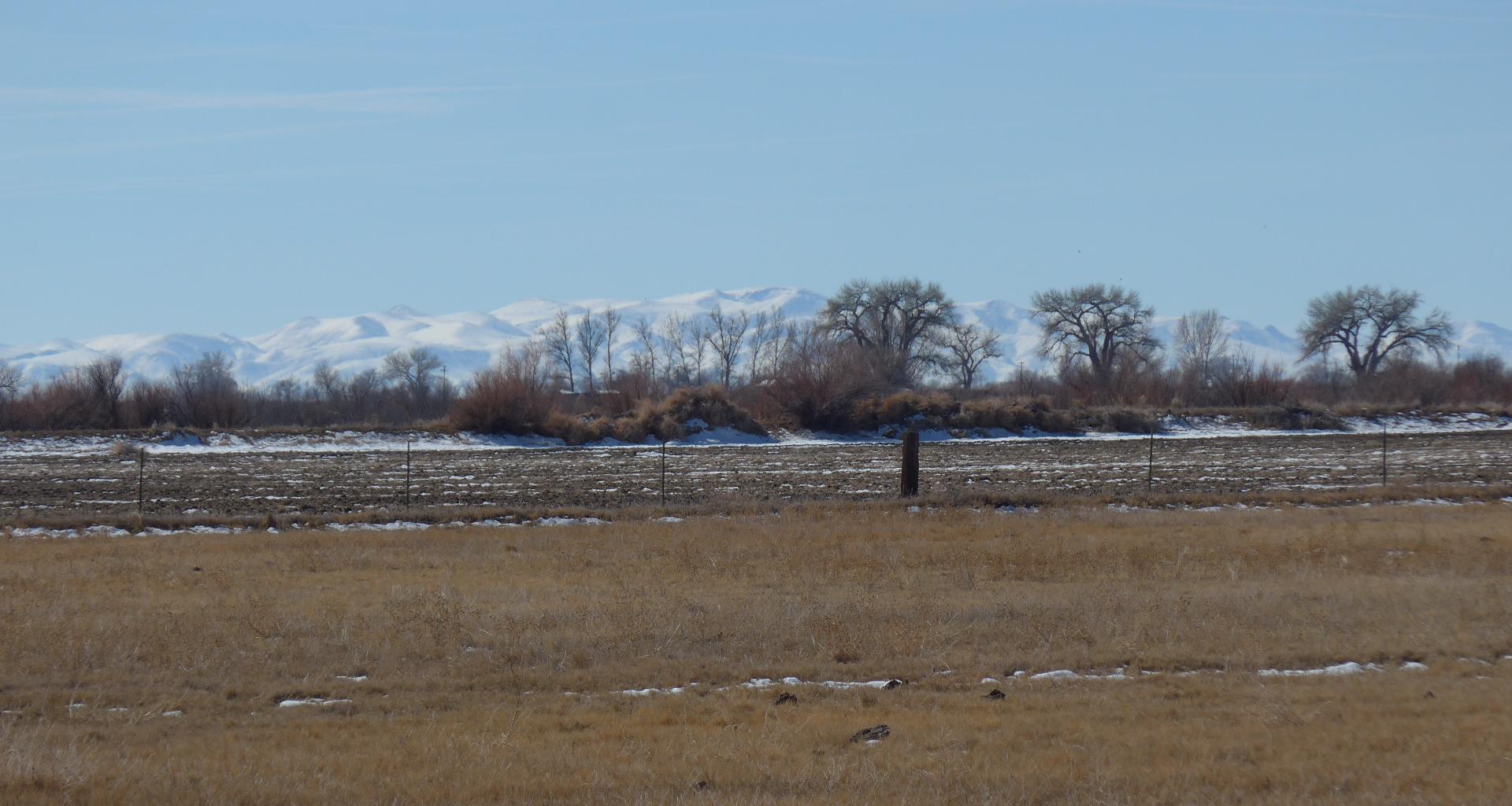 Im20160218pdP1120664