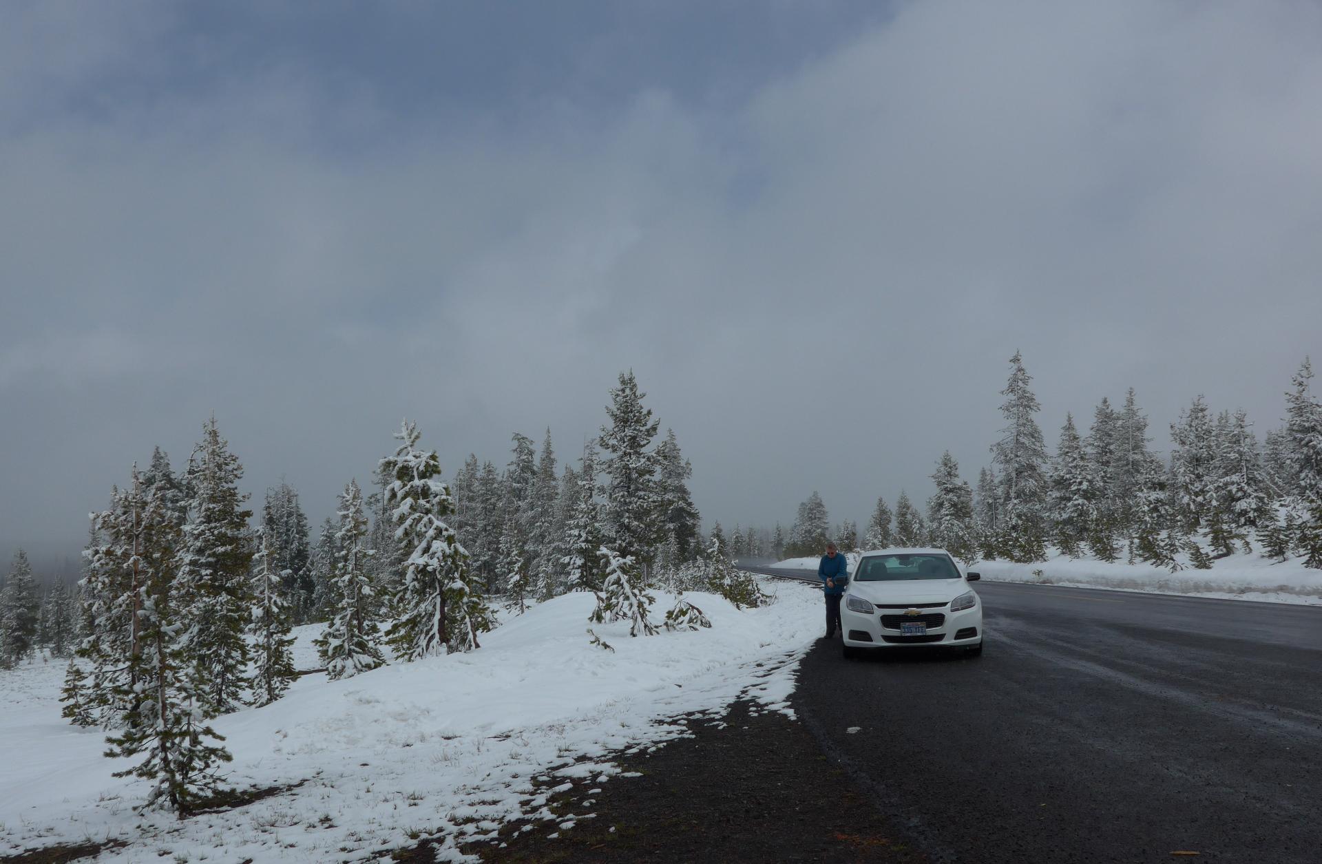 Im20160618pdjP1140563