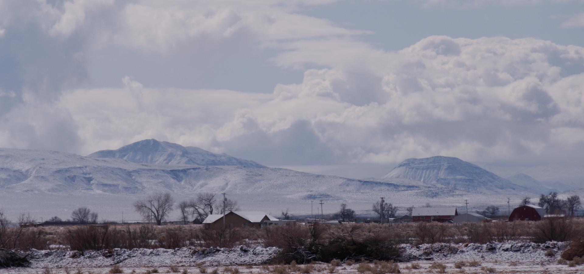 Im20210323rw2P1010488rw2